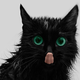 Image for article titled Has Your Cat Infected You With a Mind-Controlling Parasite? Probably.